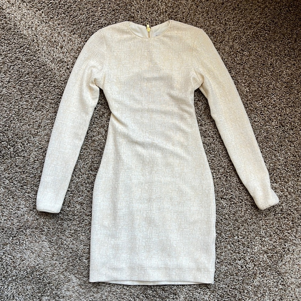 Dress the Population Bodycon Mini Dress